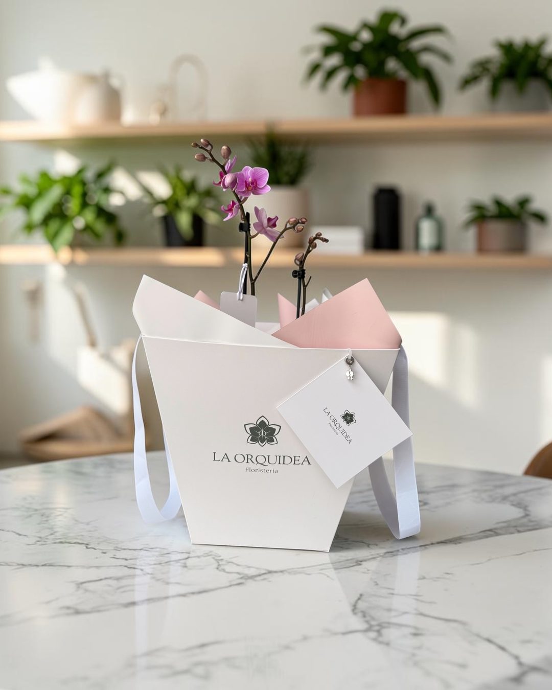 Orquídea rosada en empaque de regalo de La Orquídea, con tarjeta de dedicatoria y dije de plata, sobre mesa de mármol