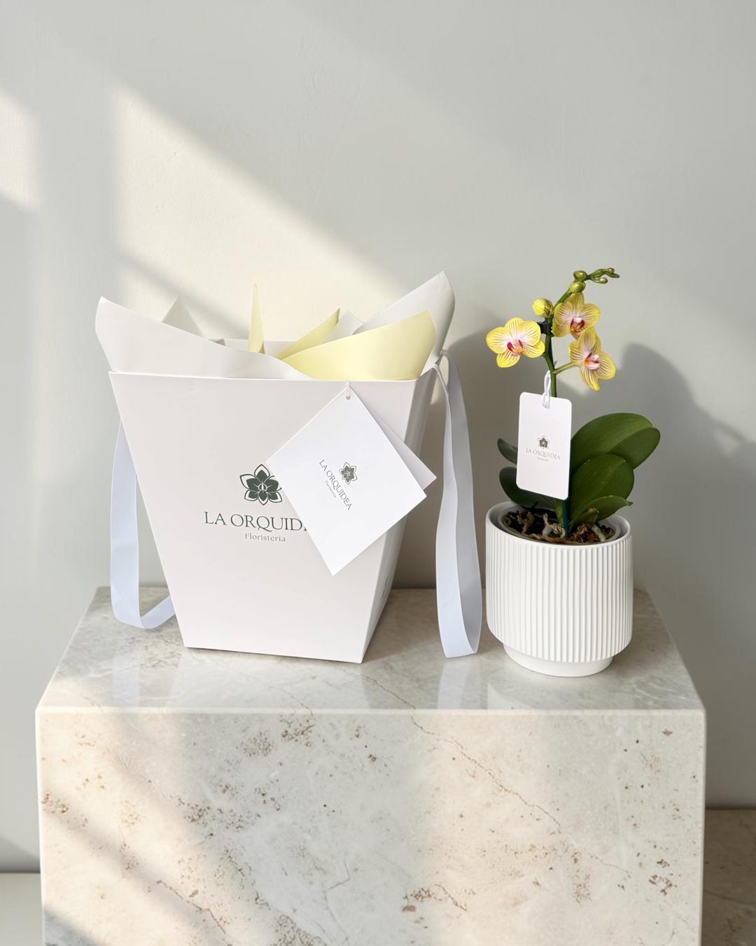 Orquídea mini amarilla en maceta de cerámica blanca junto a su empaque de regalo de La Orquídea